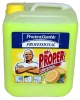 Mr.Proper, prostředek čistící, 5l.jpg