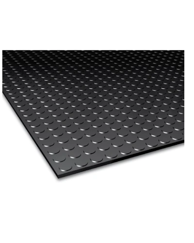 Pryž penízková 350x500.jpg