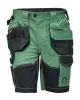 Pánské kraťasy DAYBORO, mechově zelená