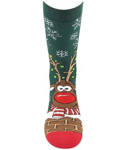 Rudy I tm. zelená.jpg Rudy I tm. zelená.jpg