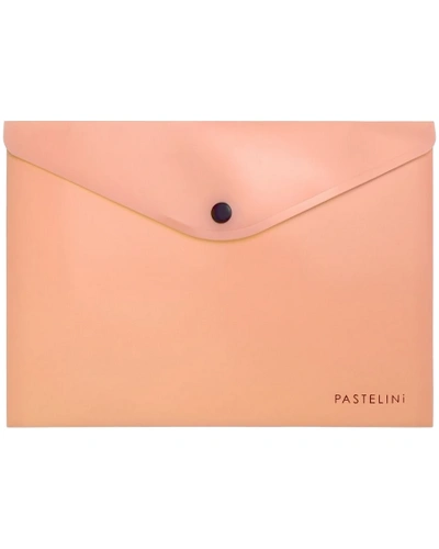 PK2650 pastelini merunkova.jpg