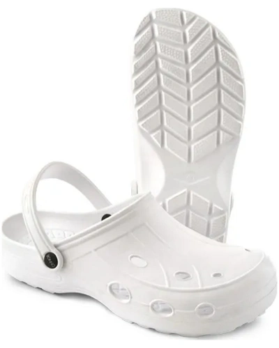 beany 1.jpg beany 1.jpg