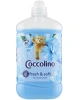 coccolino.jpg coccolino.jpg