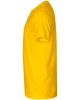 AD813 zluta 2.jpg
