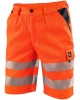 Norwich oranžové 5.jpg