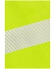 Norwich s laclem zlute 1.jpg