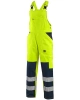 Norwich s laclem zlute 6.jpg