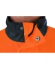 Norwich bluza oranzova 7.jpg