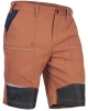 Stirling kratasy oranzova 2.jpg Stirling kratasy oranzova 2.jpg