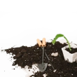 zahrada350x350.png